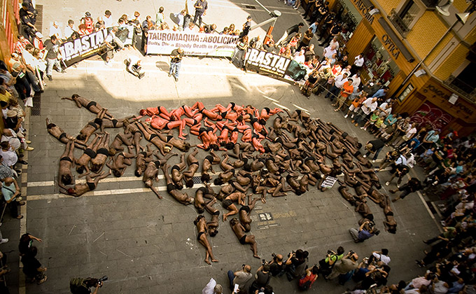 Demonstration gegen Stierhatz