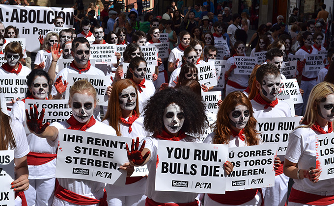 Demonstration gegen Stierhatz