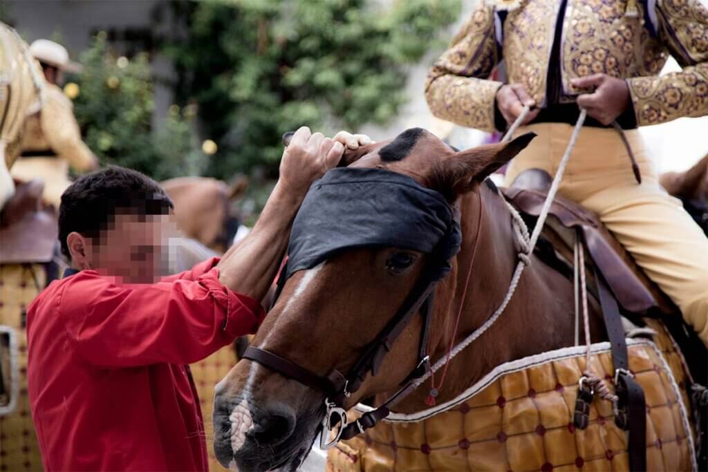 Matador sitzt auf einem Pferd, dessen Augen verbunden sind