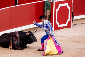 Stierkampf in Spanien stoppen