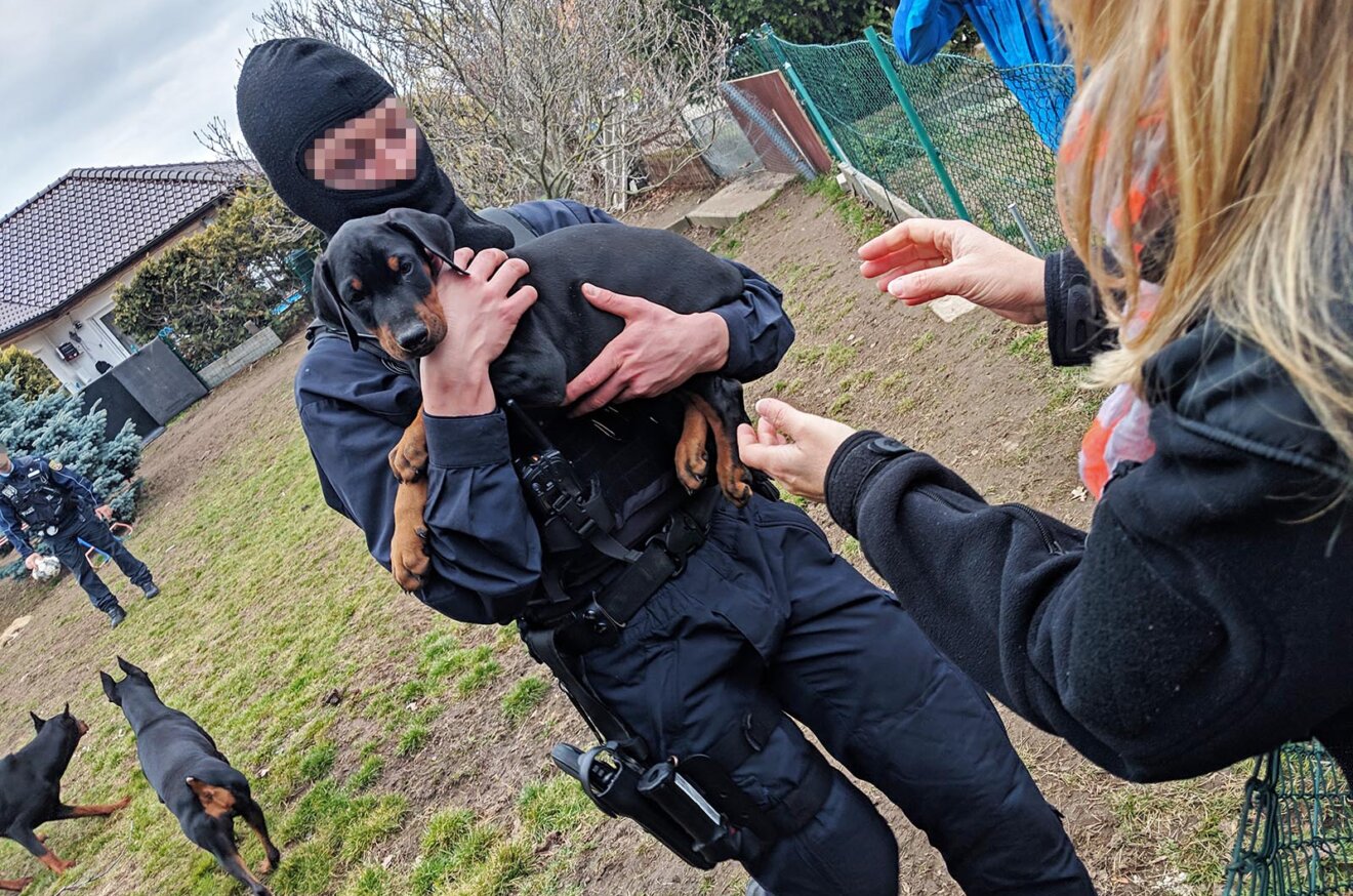 Polizist mit Welpe auf dem Arm