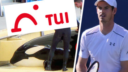 Collage Walshow und Andy Murray