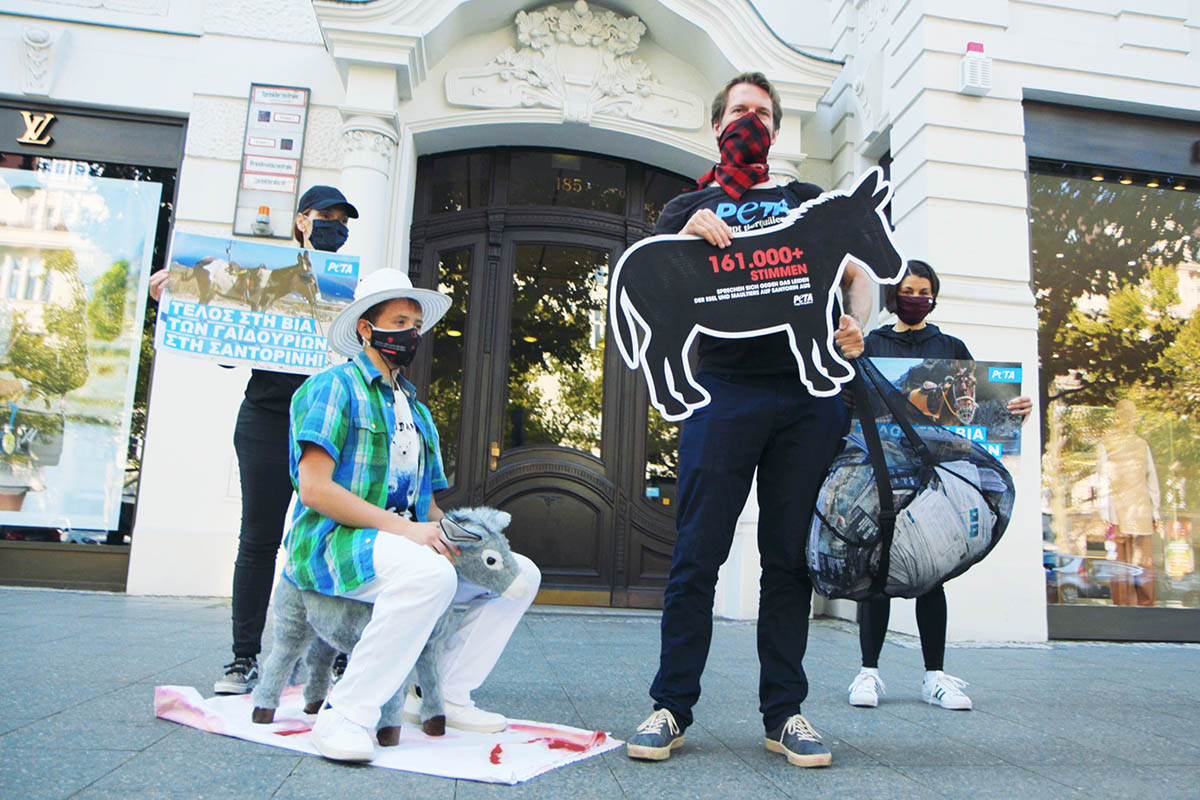 Demonstration gegen Eselreiten in Santorin