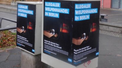 PETA Plakate auf der Straße