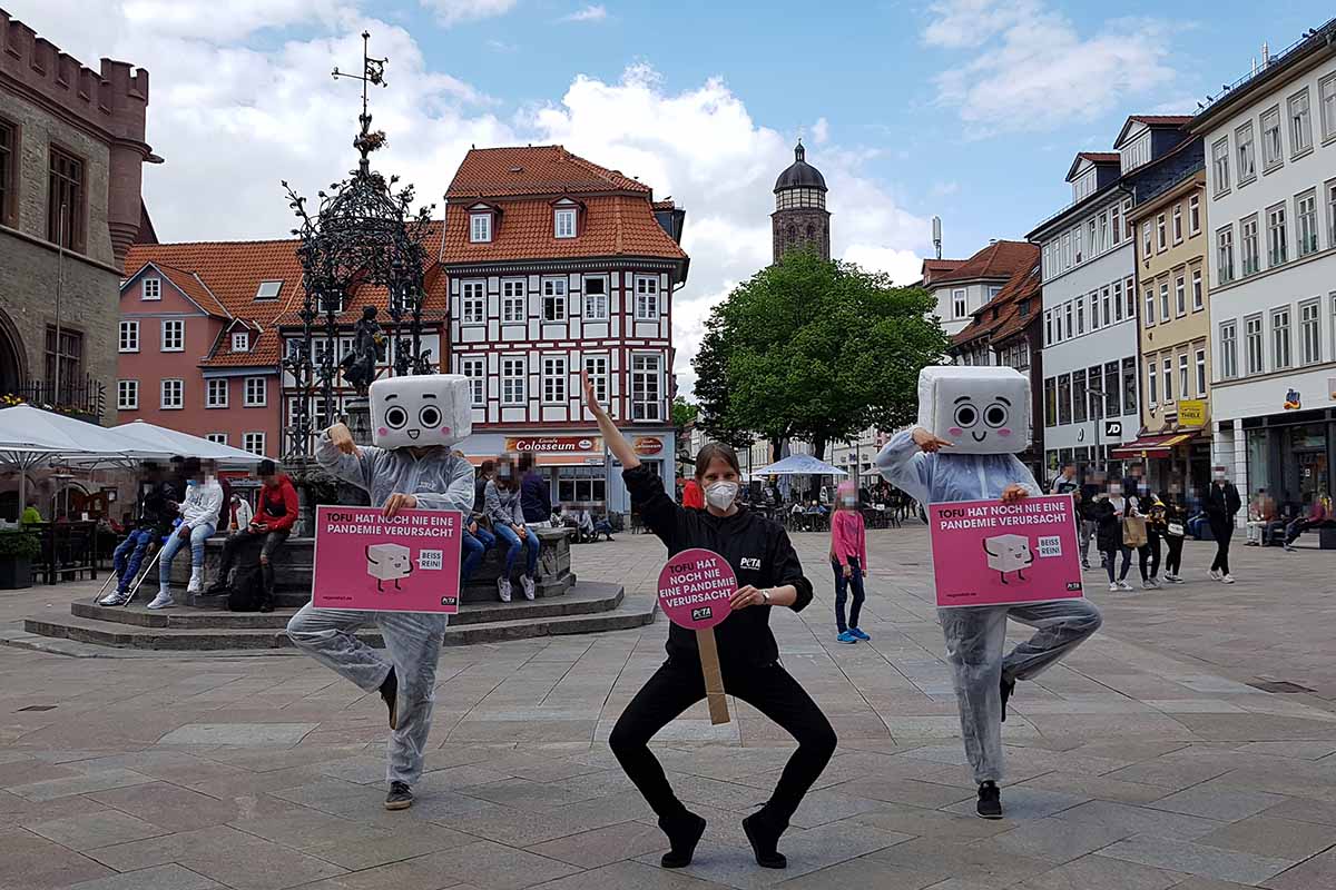 PETA Streetteam mit Tofukostuem