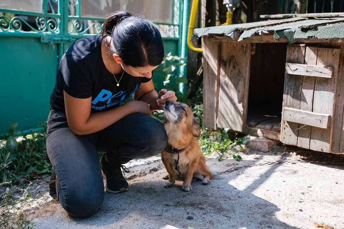 Frau streichelt Hund an der Kette