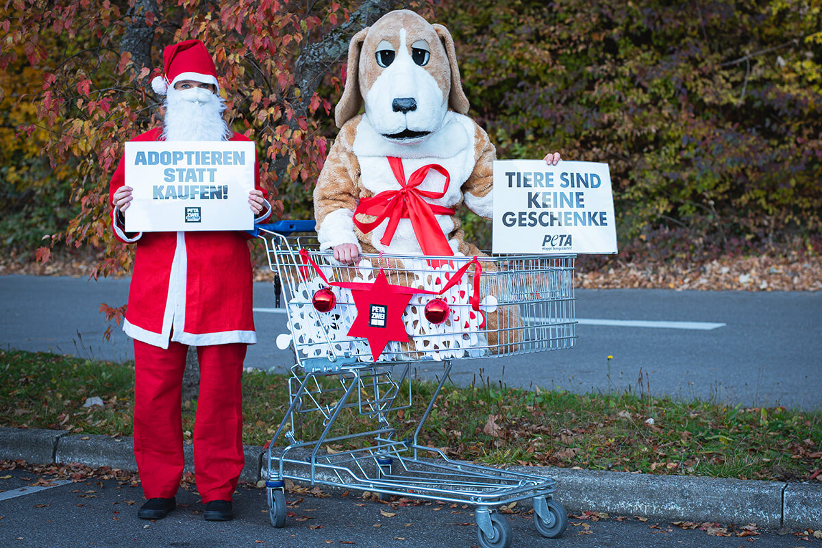 PETA-Aktion Tiere sind keine Wihnchatsgeschenke