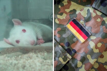 Collage Bundeswehr Tierversuche