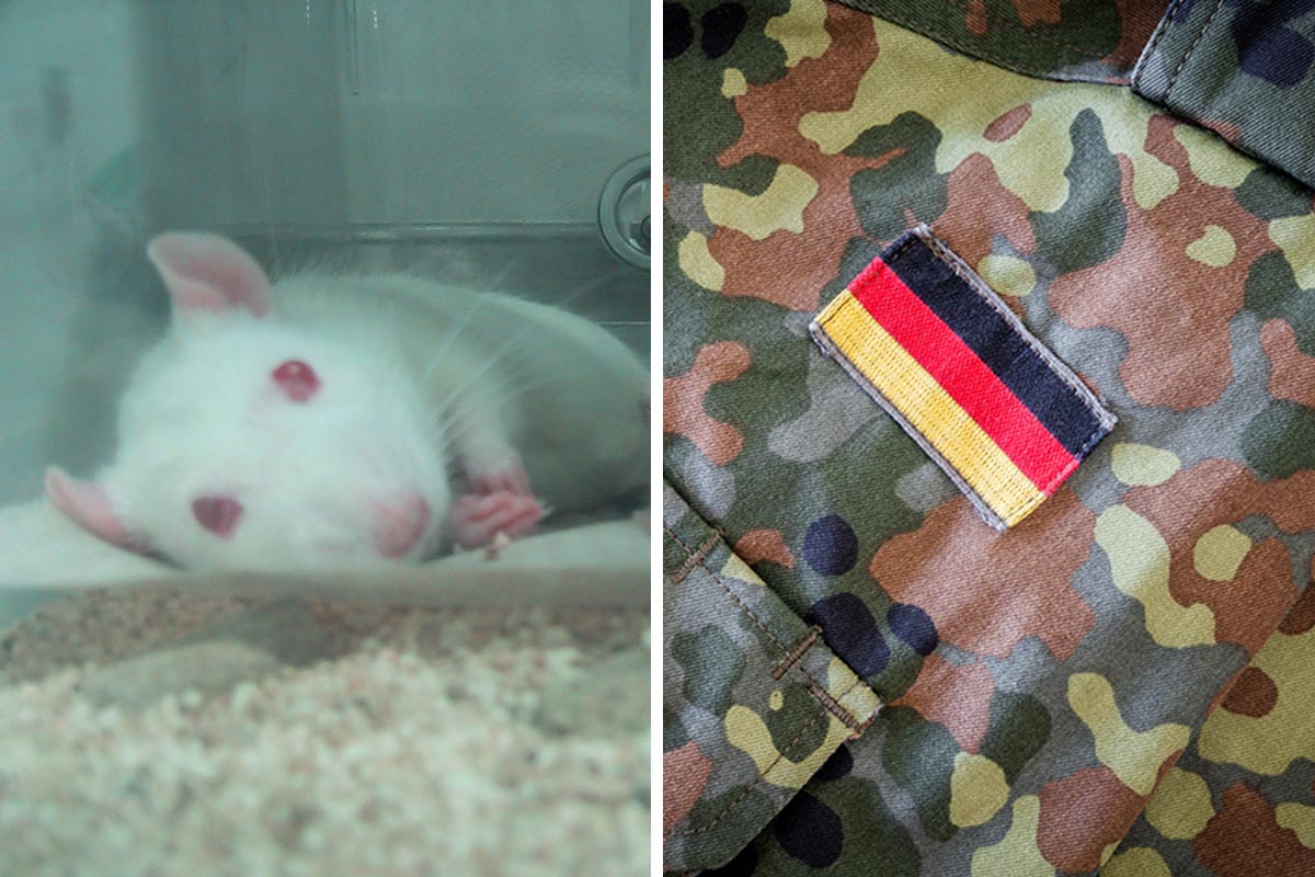 Collage Bundeswehr Tierversuche