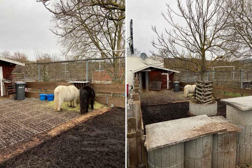 Ponys auf dem Dach des Zoomarktes Finkbeiner