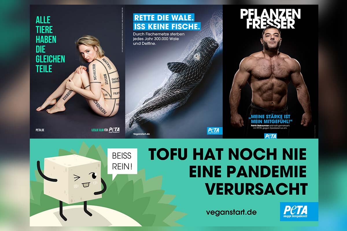 Helfen Sie PETA mit kostenlosen Printanzeigen