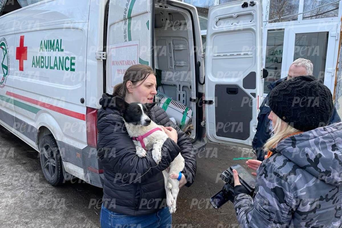 Frau mit Hund im Arm