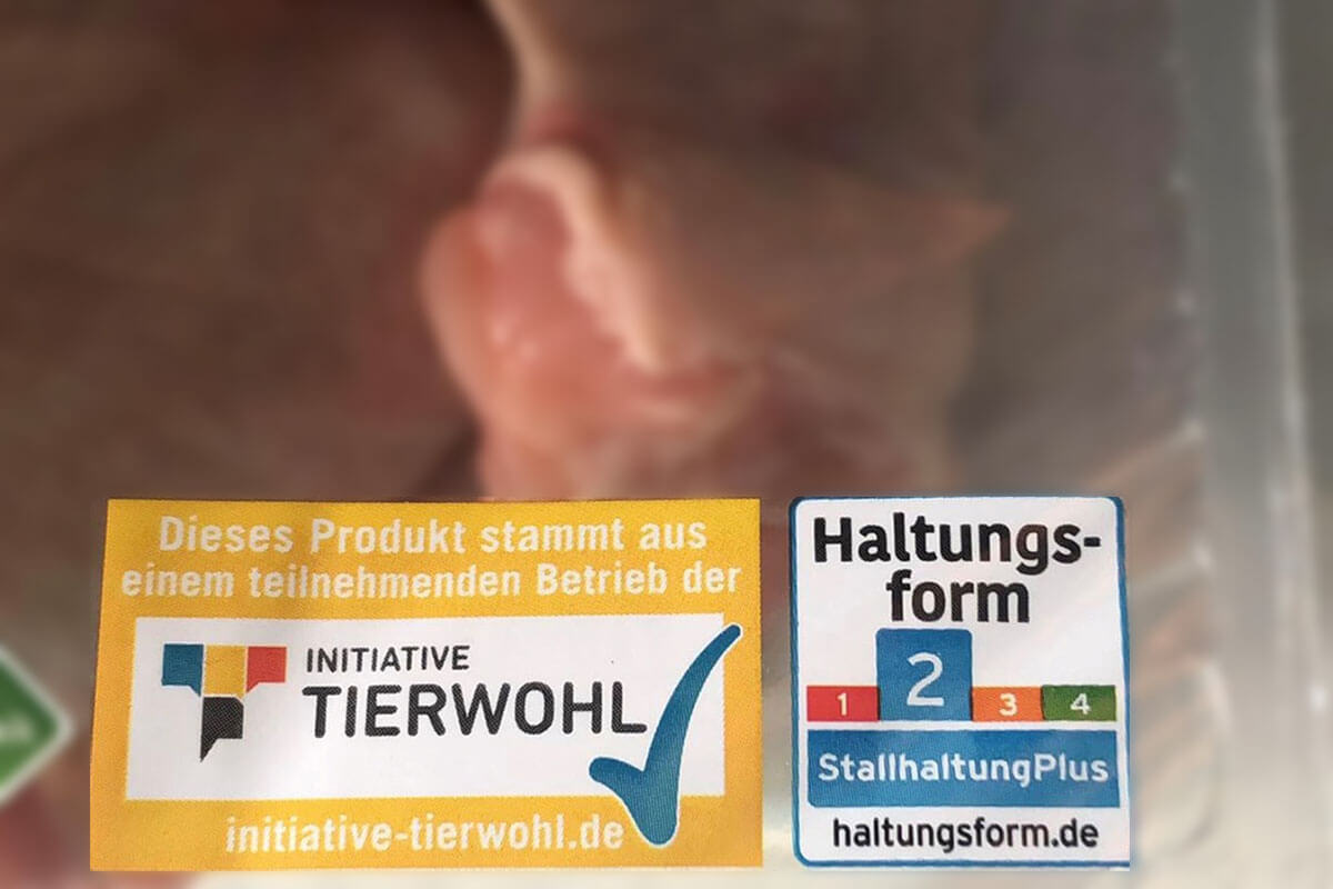 Das „Haltungsform“-Label der „Initiative Tierwohl“: Kein Gewinn für Tiere