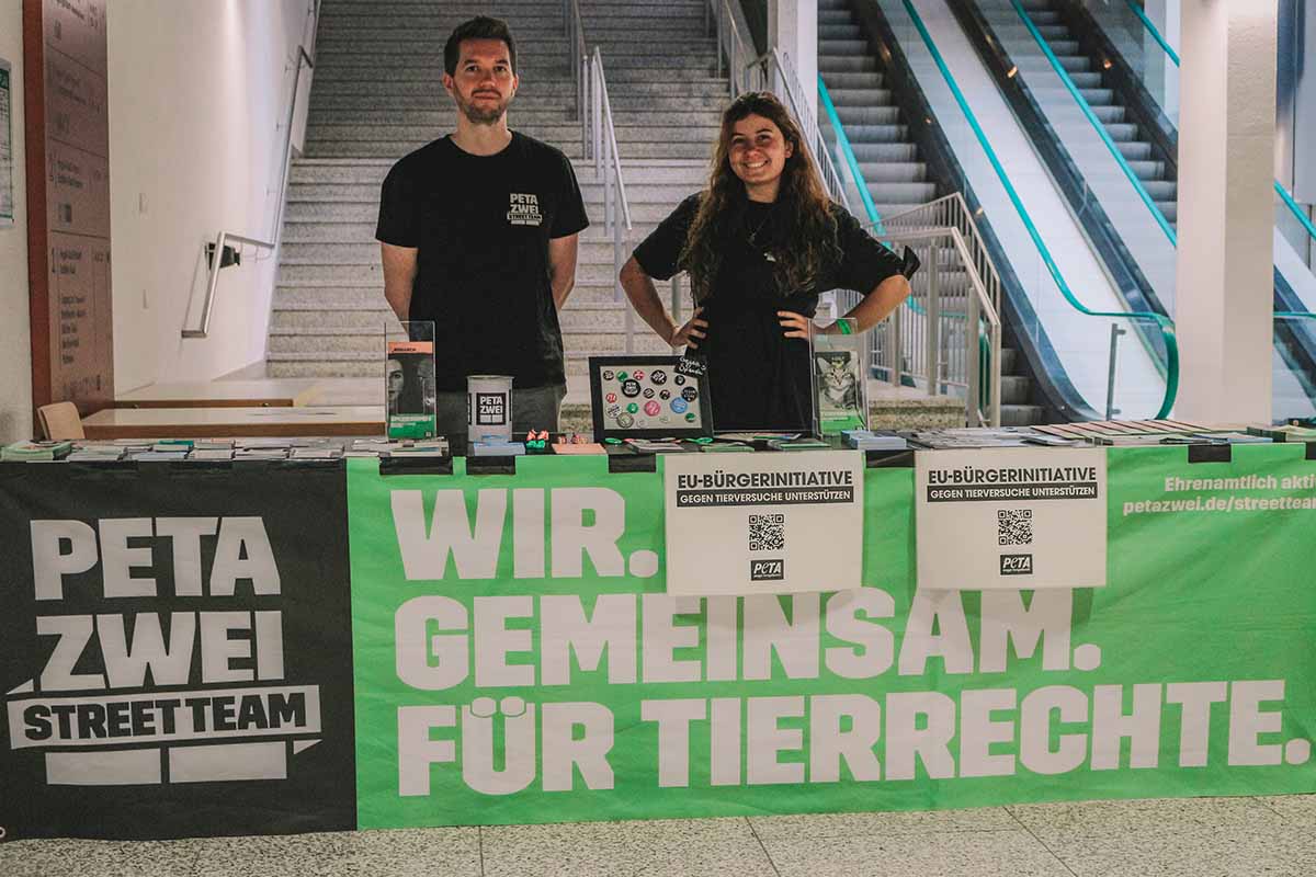 Streetteam Infostand gegen Tierversuche