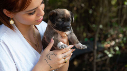 Nikasofie mit Hund