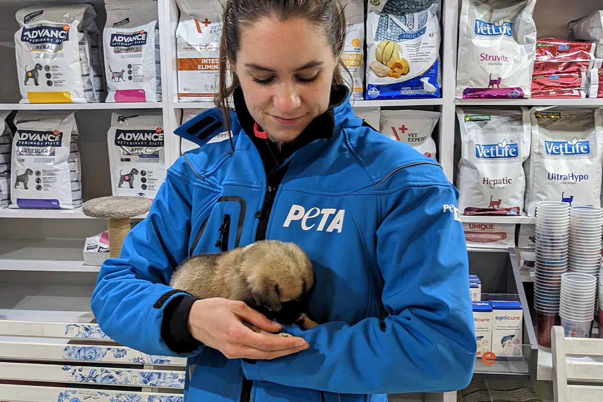 PETA Mitarbeiterin haelt einen braunen Welpen im Arm.