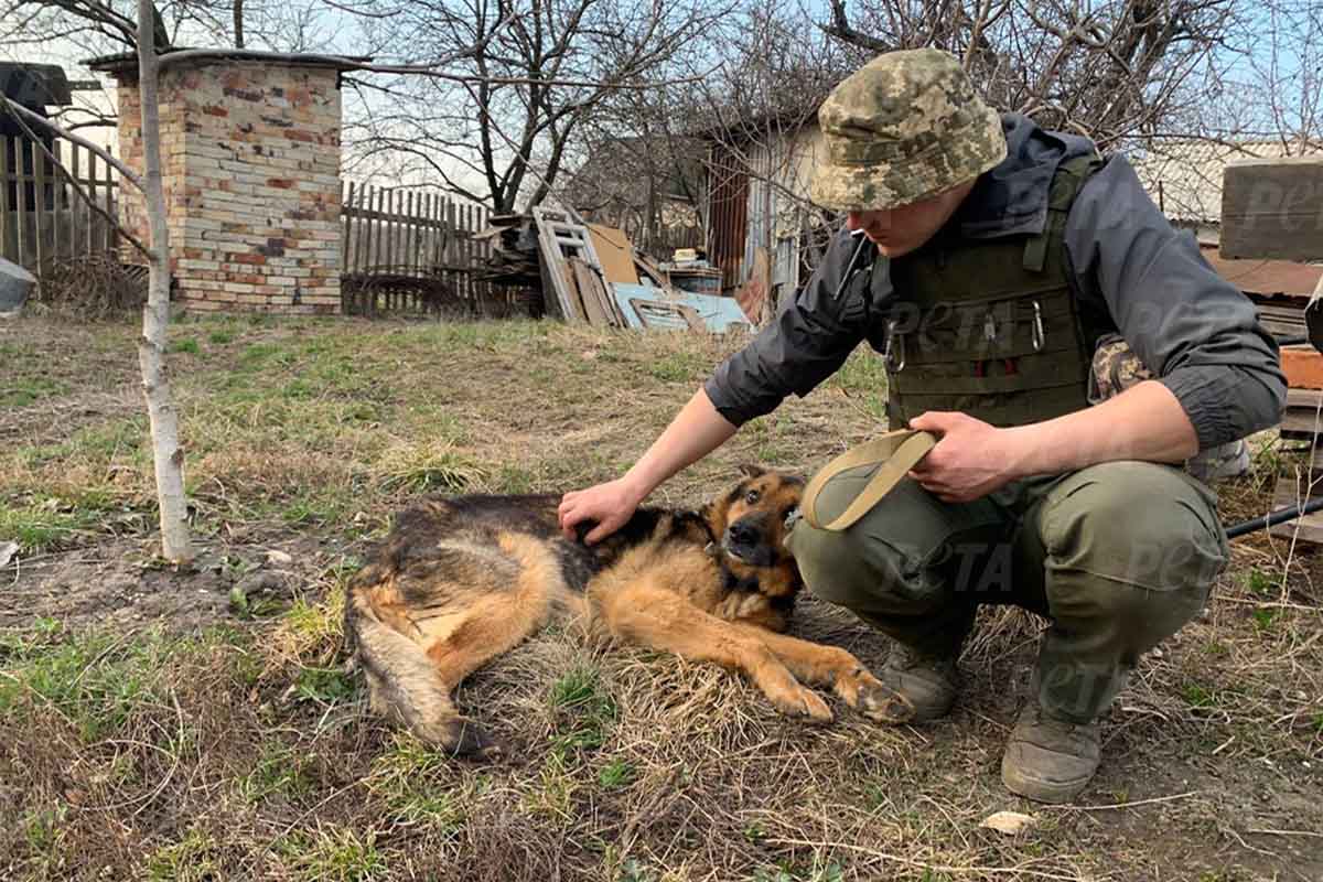 Mensch in Uniform streichelt einen Hund