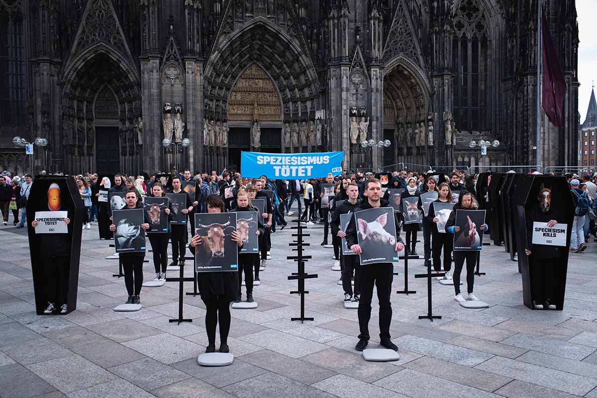 Speziesismus Aktion Köln