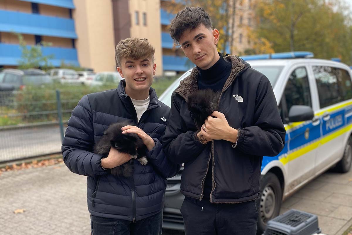 Influencer Nathan Goldblat und Lewinray decken mit PETA illegalen Welpenhandel auf