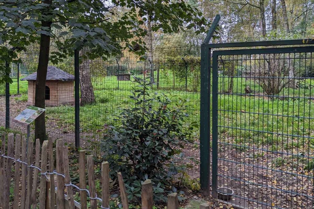 Gepardengehege im Tierpark Nadermann