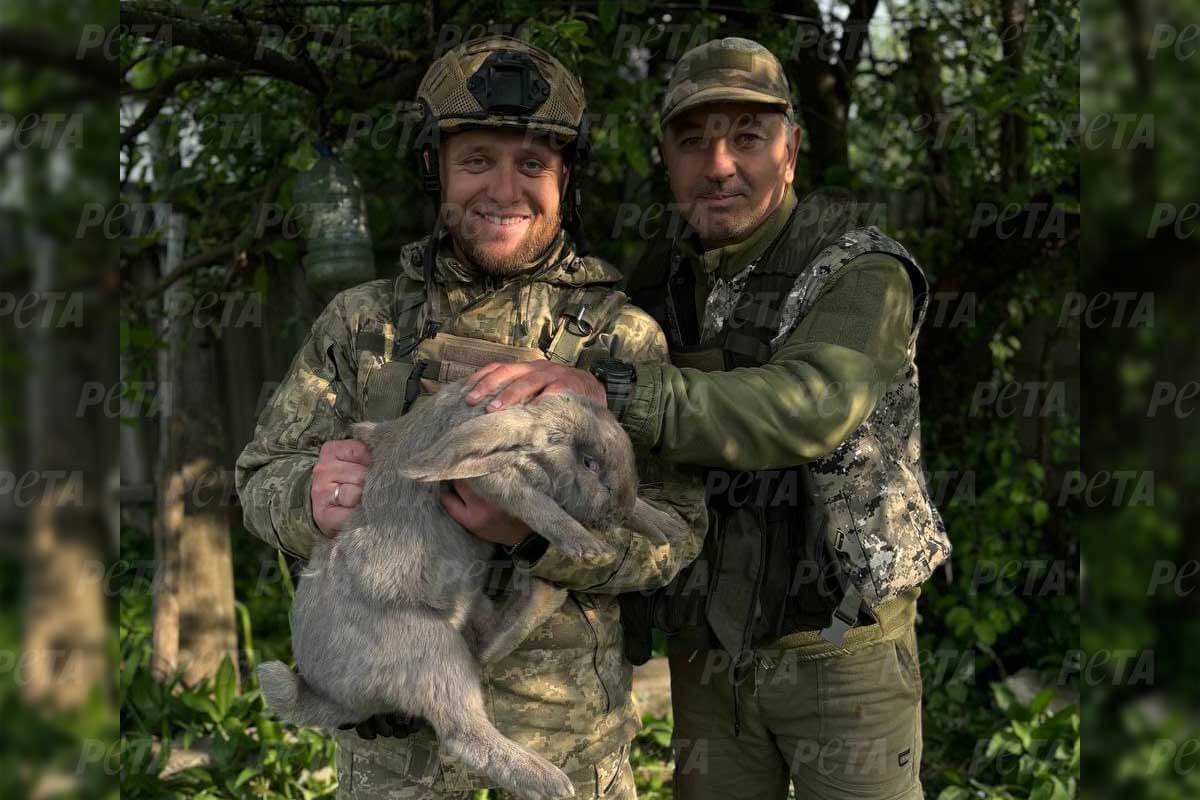 Ukraine: Dringende Tierrettungsaktion in der Region Charkiw