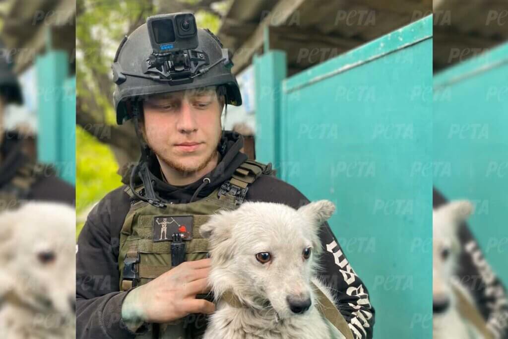 Ein junger. besorgter Mann hält einen weißen Hund im Arm.