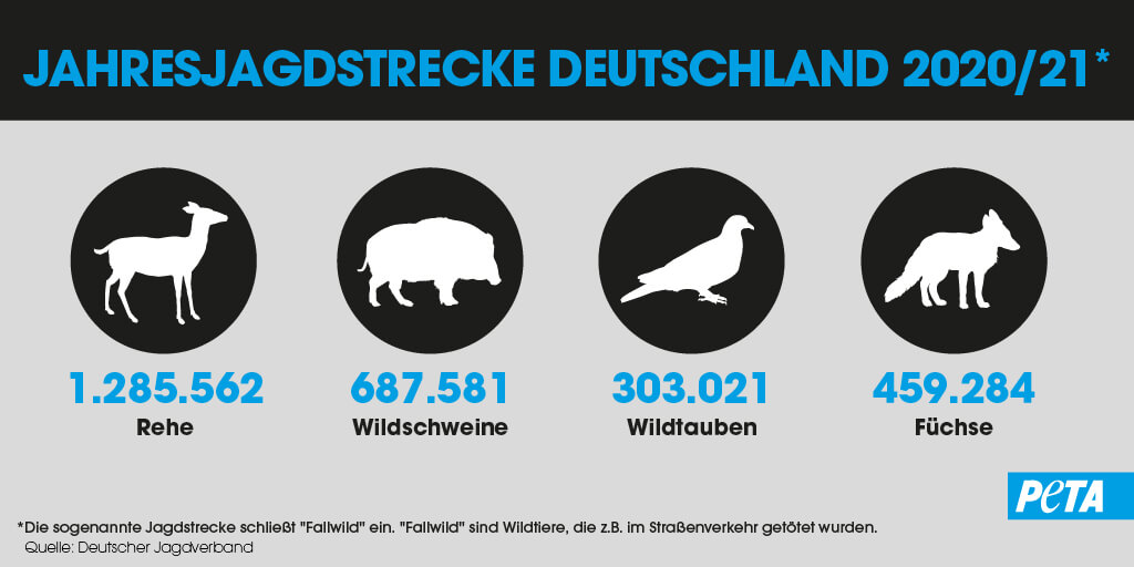 grafik zur jagdsaison