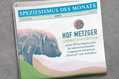 Grafik. Speziesismus des Monats Zeitung mit Schwein auf dem Cover.