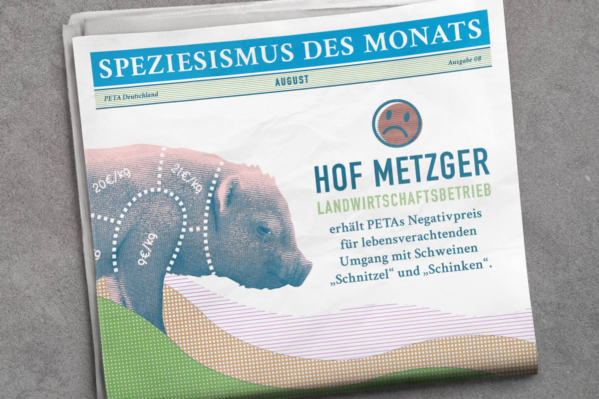 Grafik. Speziesismus des Monats Zeitung mit Schwein auf dem Cover.