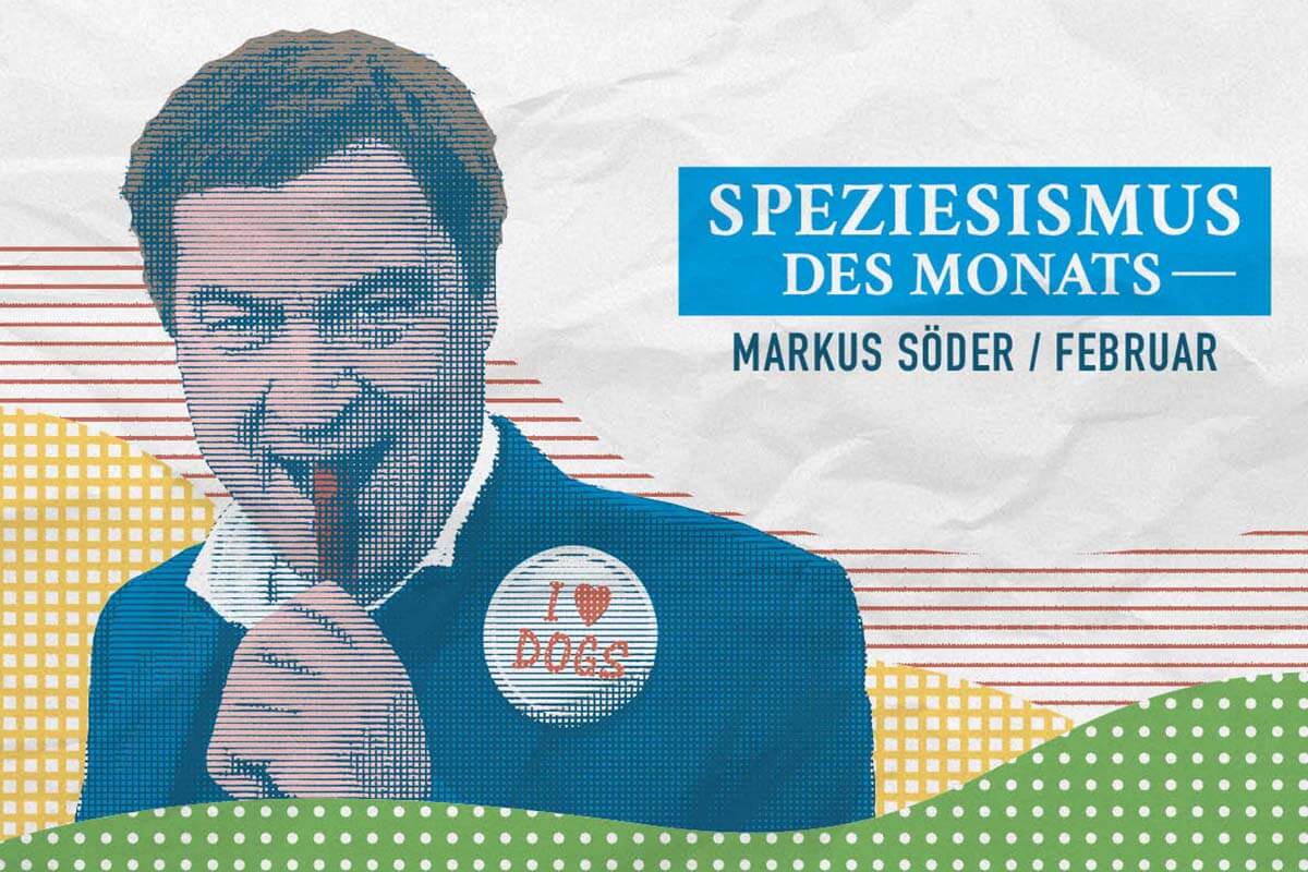 Speziesismus des Monats Soeder Motiv