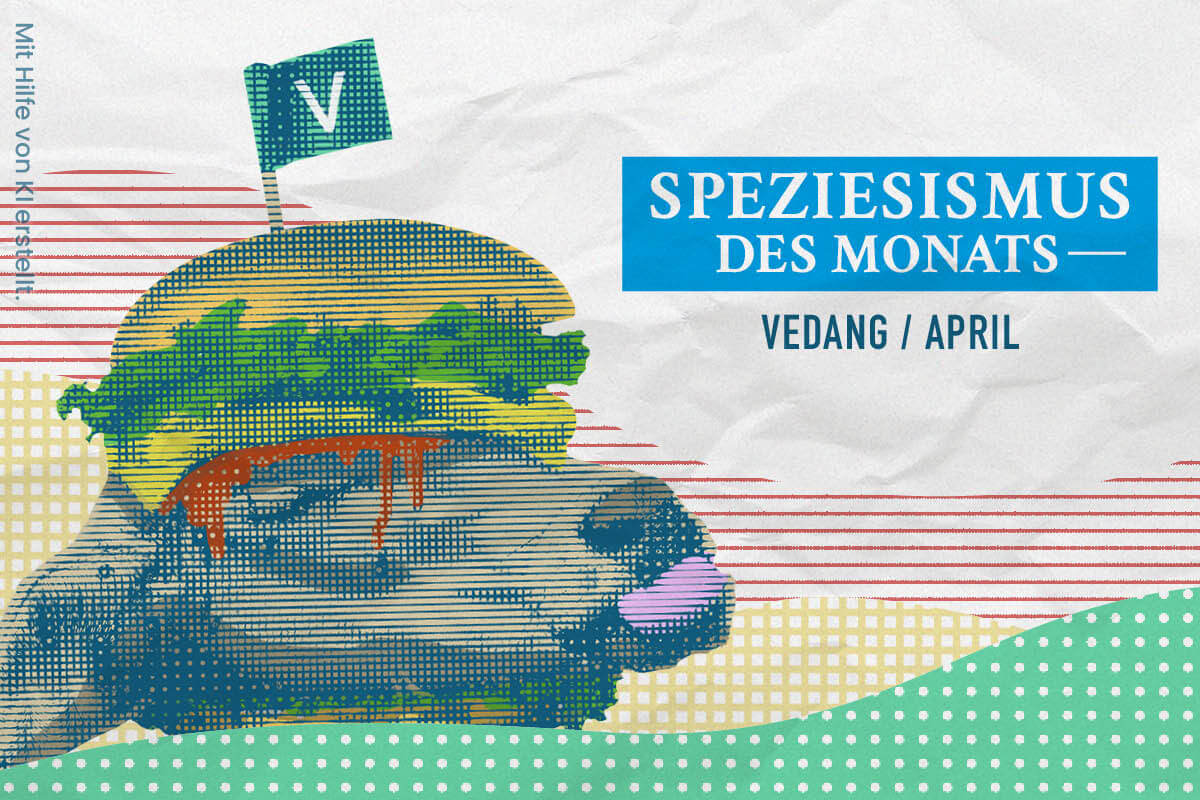 Speziesismus des Monats: Restaurantkette Vedang ist nicht mehr vegan