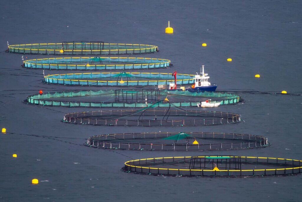 Fischfarm Aquakulturen im Meer.