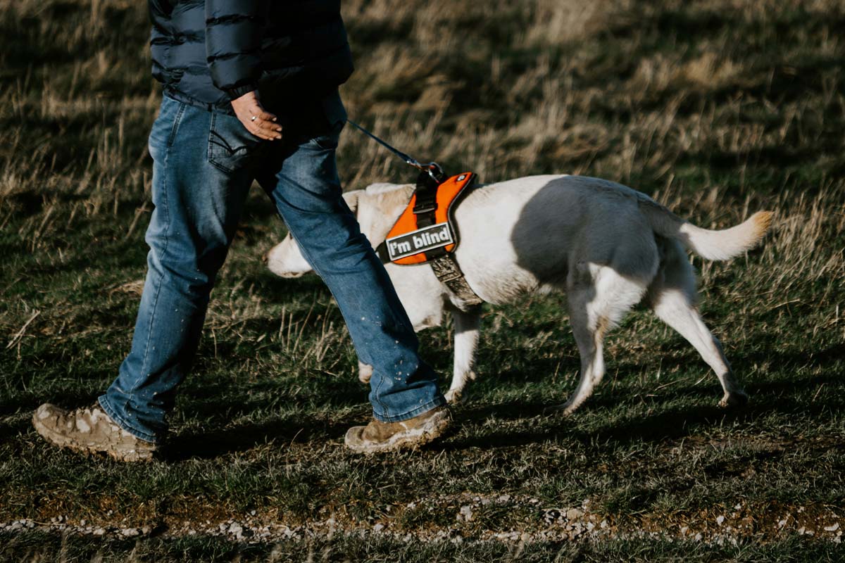 Eine Person lauft mit einem Assistenzhund ueber eine Wiese.