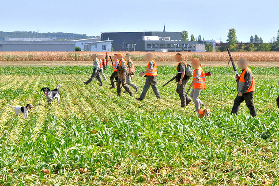 Jaegerschaft geht mit Hunden auf die Jagd