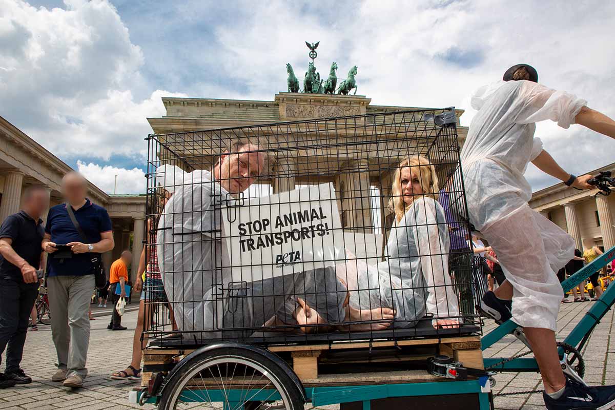 Demonstration gegen Tiertransporte