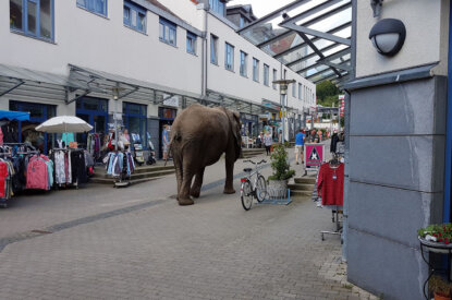 Elefant in der Fussgaengerzone