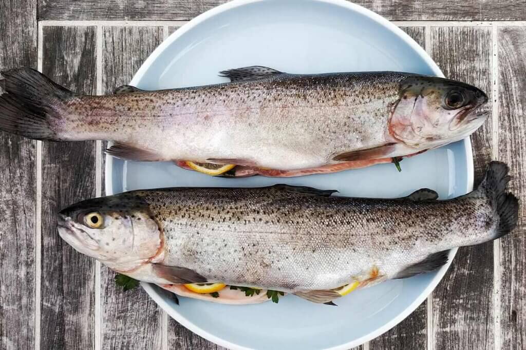 Tote Fische liegen auf einem Teller