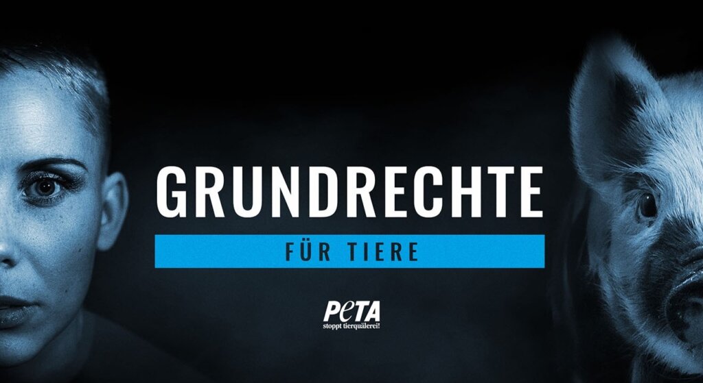 Grundrechte fuer Tiere