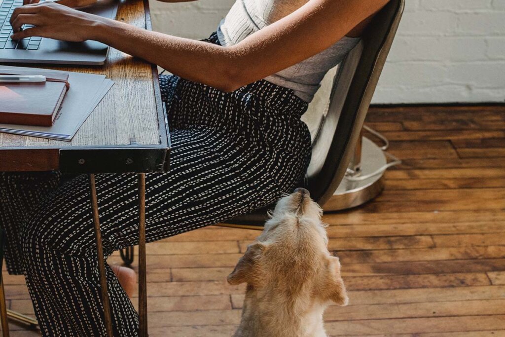 Eine Frau sitzt vor einem Laptop und ein Hund schaut zu ihr auf.