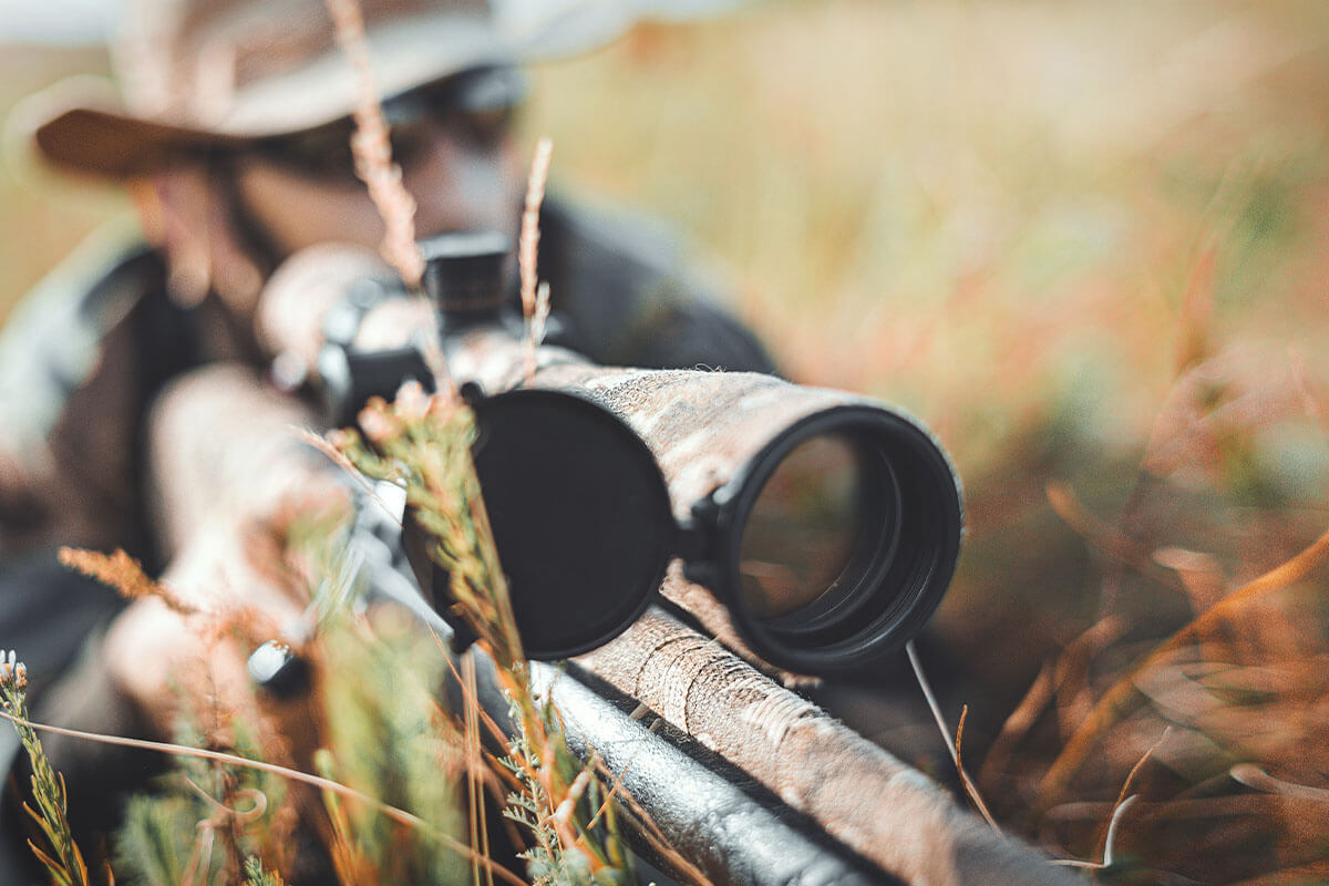 So bewerben Jagd-Influencer das gnadenlose Töten von Tieren