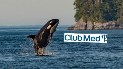 Collage Orca im Meer und Club Med Logo