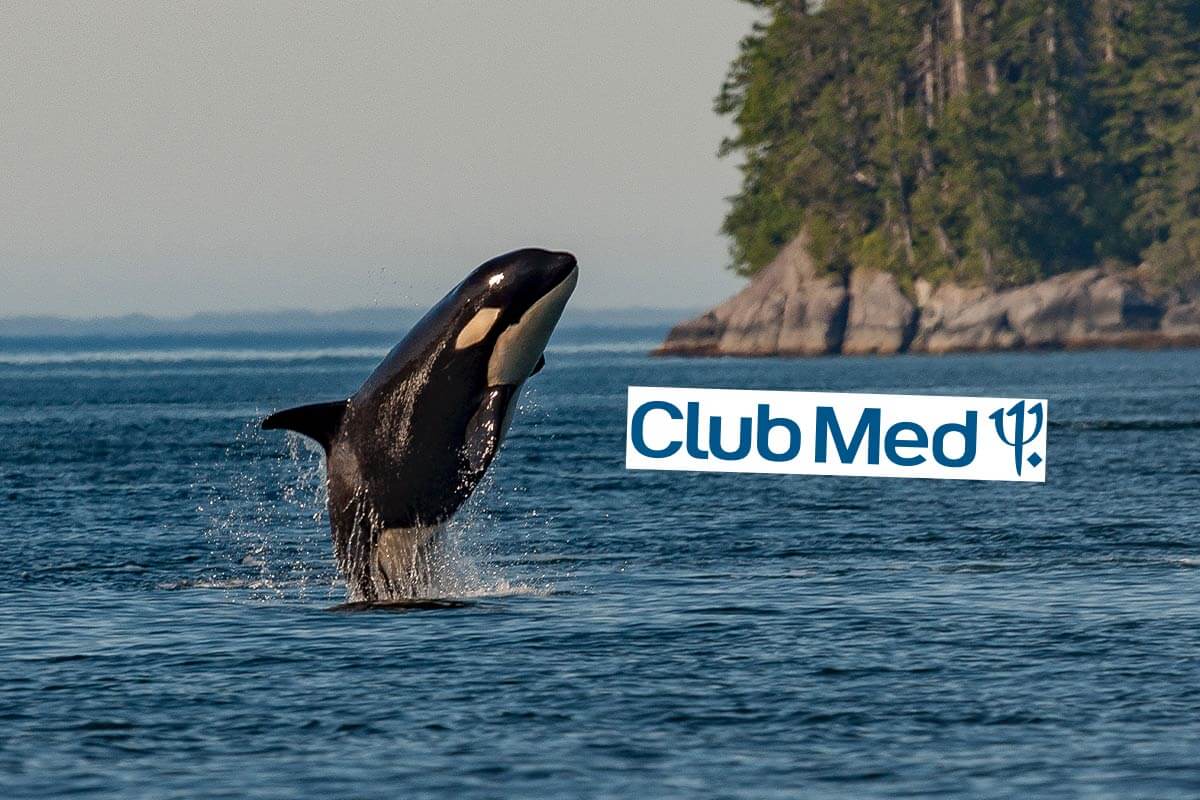 Reiseveranstalter Club Med streicht SeaWorld & Elefantenreiten