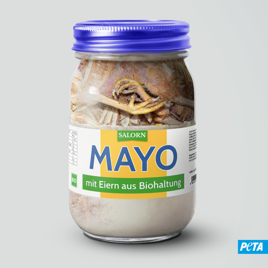 Fotomontage Mayo