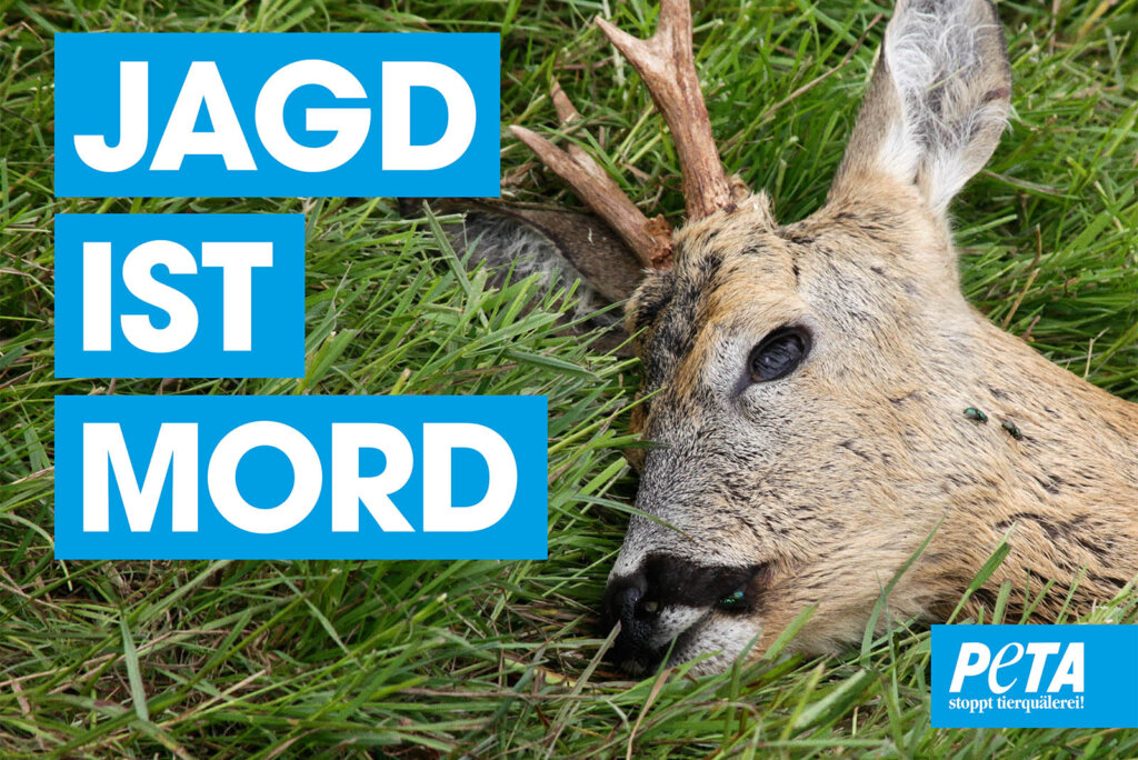 PETA Motiv mit totem Hirsch: Jagd ist Mord