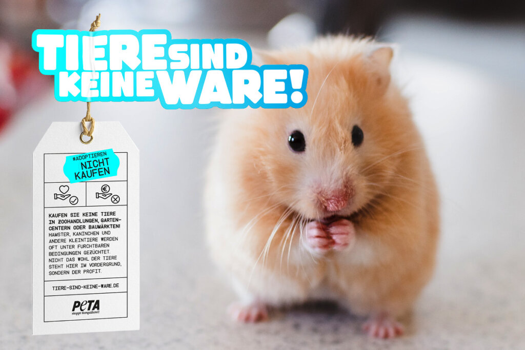 Tiere sind keine Ware Motiv Hamster