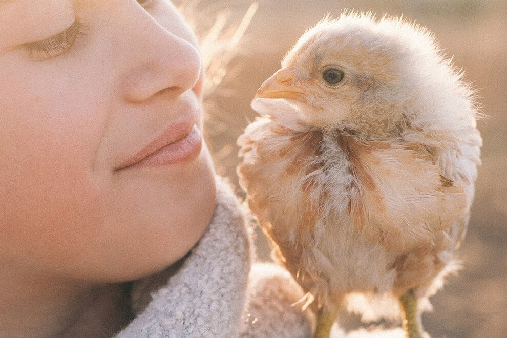 Sind Menschen Tiere? Darum stehen wir nicht über Tieren