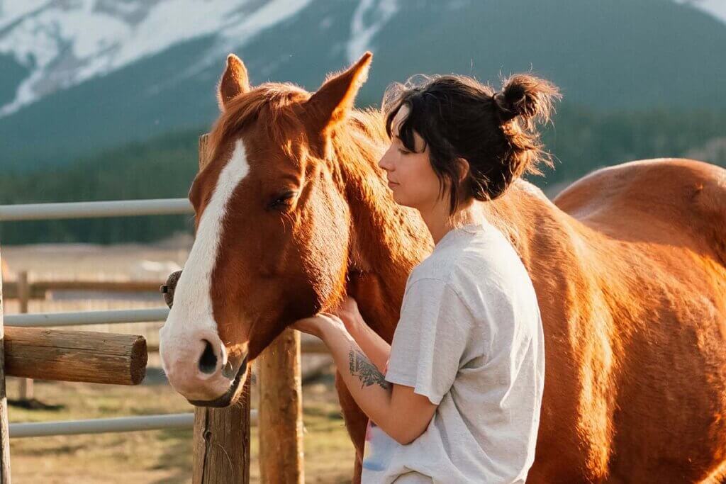 Frau steht mit Pferd auf einer Koppel und streichelt es am Kinn.