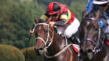 Jockeys reiten auf Pferden