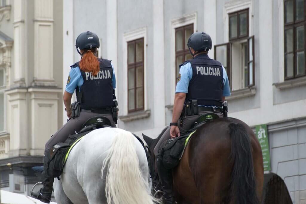 Polizeupferde