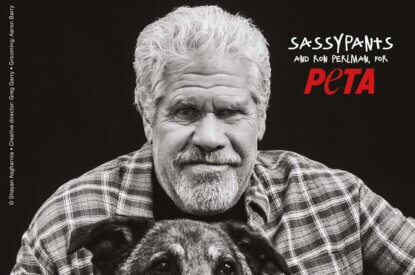 PETA Motiv mit Ron Perlman und Hund. Vorschau.